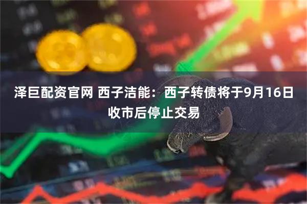 泽巨配资官网 西子洁能：西子转债将于9月16日收市后停止交易